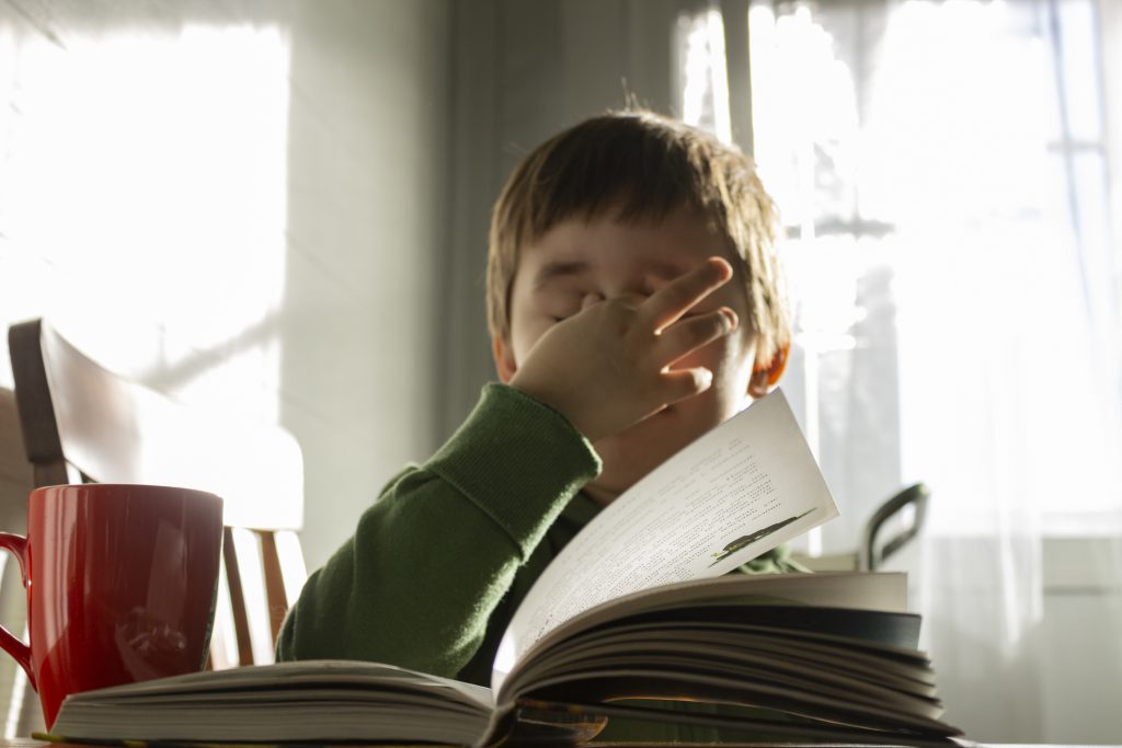 Cute Boy Reading A Book At Home