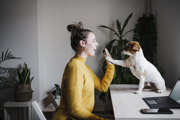 Playful Woman Giving High Five To Dog While Sitting At Home Office