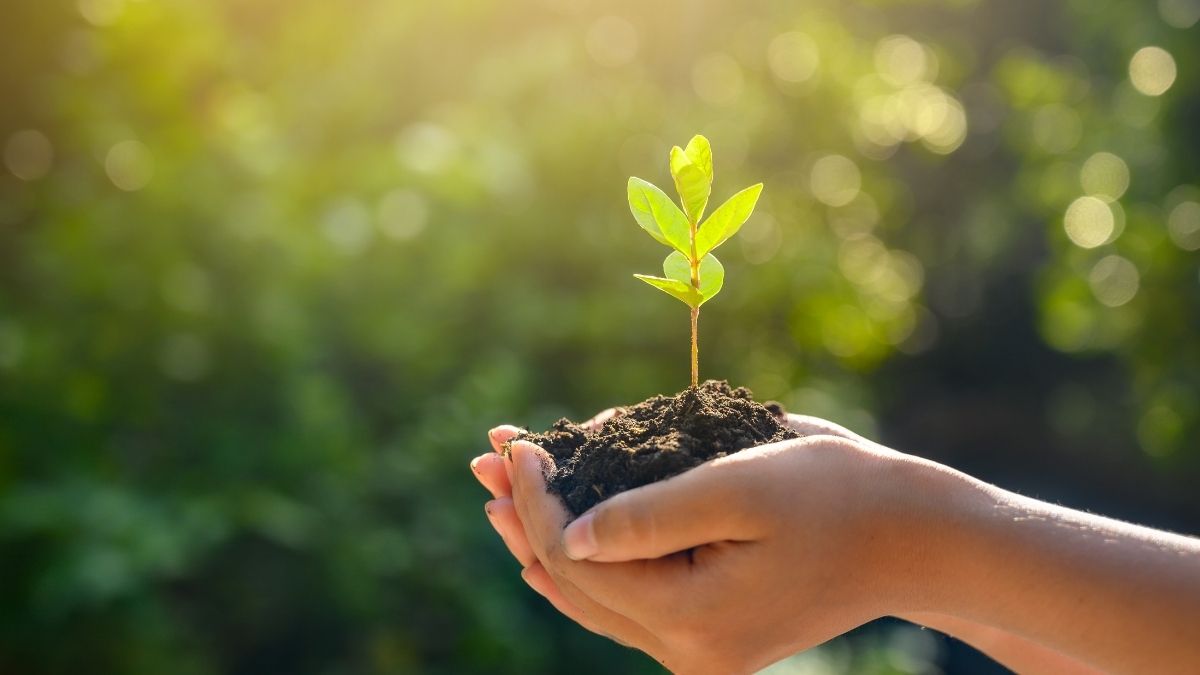 Día de la Tierra 2022: acciones simples para ayudar al planeta desde casa