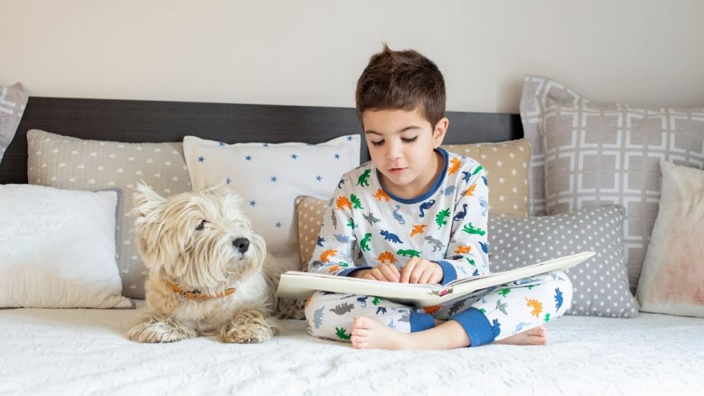 Concurso Día Del Libro 1