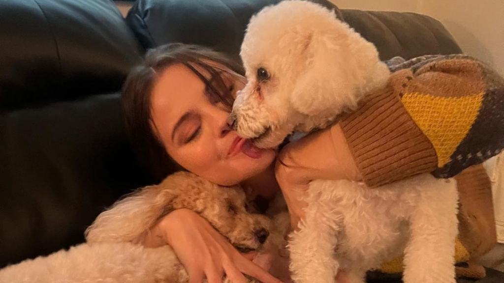 Estos Son Los Perritos De Los Famosos De Hollywood