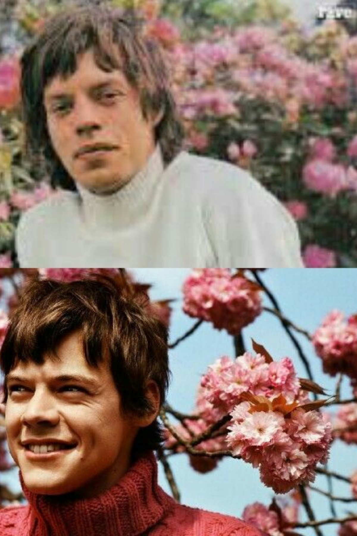 Harry Y Mick