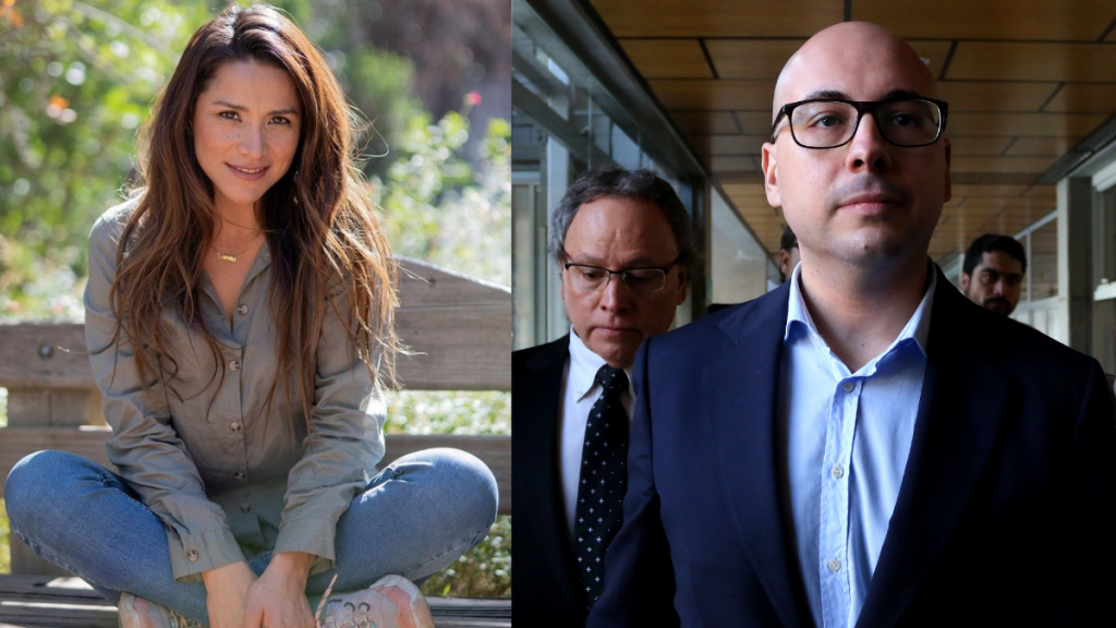 Loreto Aravena Caso Nicolás López