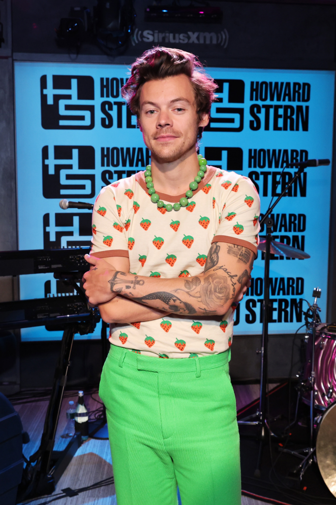 Harry Styles Daylight