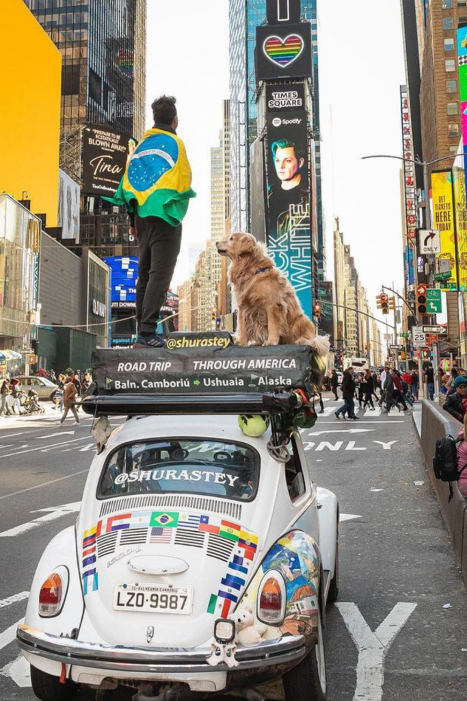 Influencer Y Su Perro Mueren