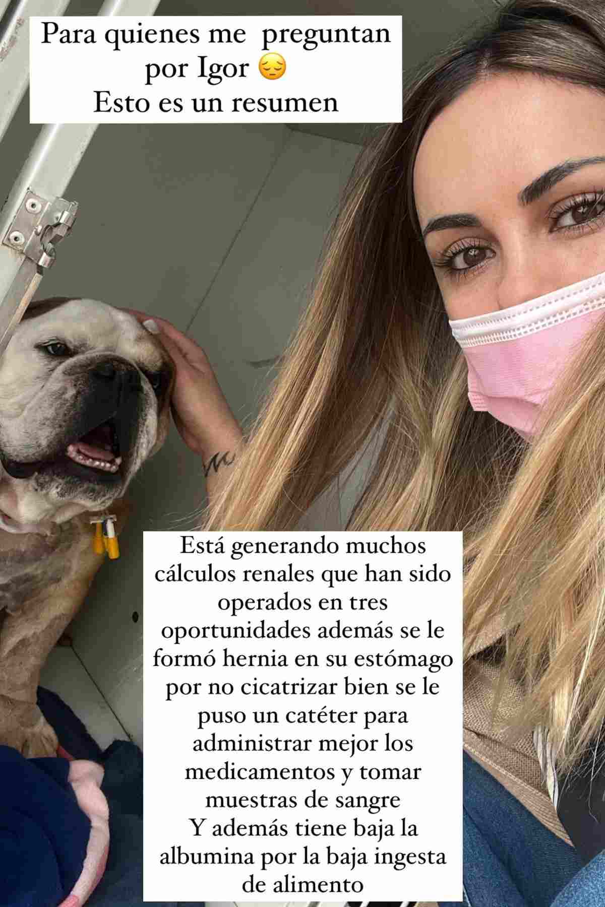 Mascota Maura Rivera  