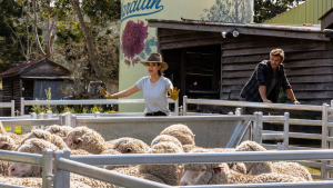 5 series y películas para ver si eres fanática de Café con Aroma de Mujer