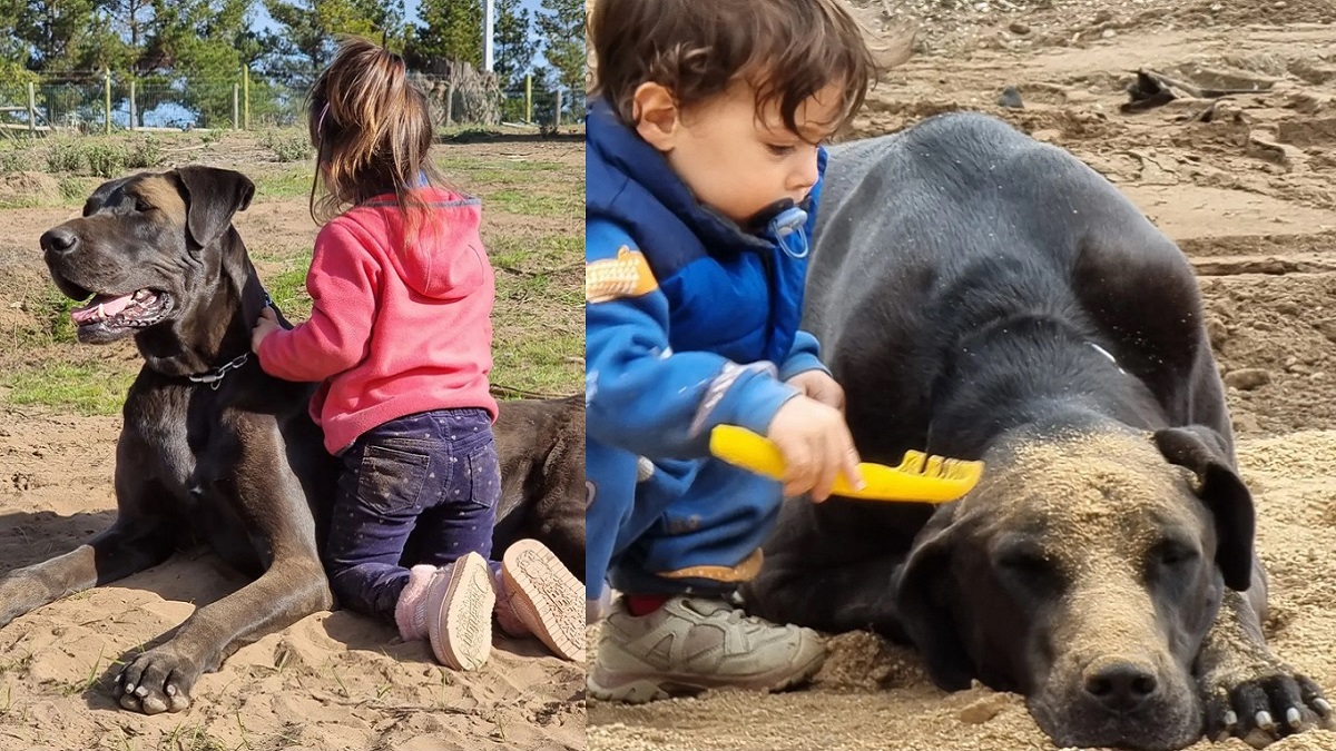 Los hijos de Cristián Riquelme y su mmascota