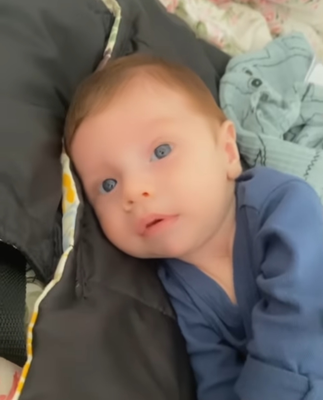 Daniela Palavecino Luka