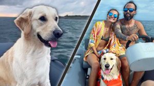 Perro es viral en YouTube por amar sus paseos en bote