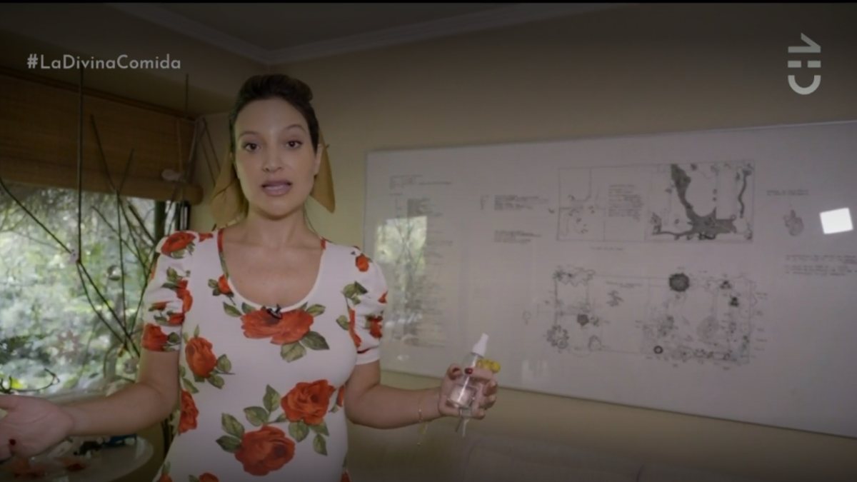 La Divina Comida Daniela Palavecino 