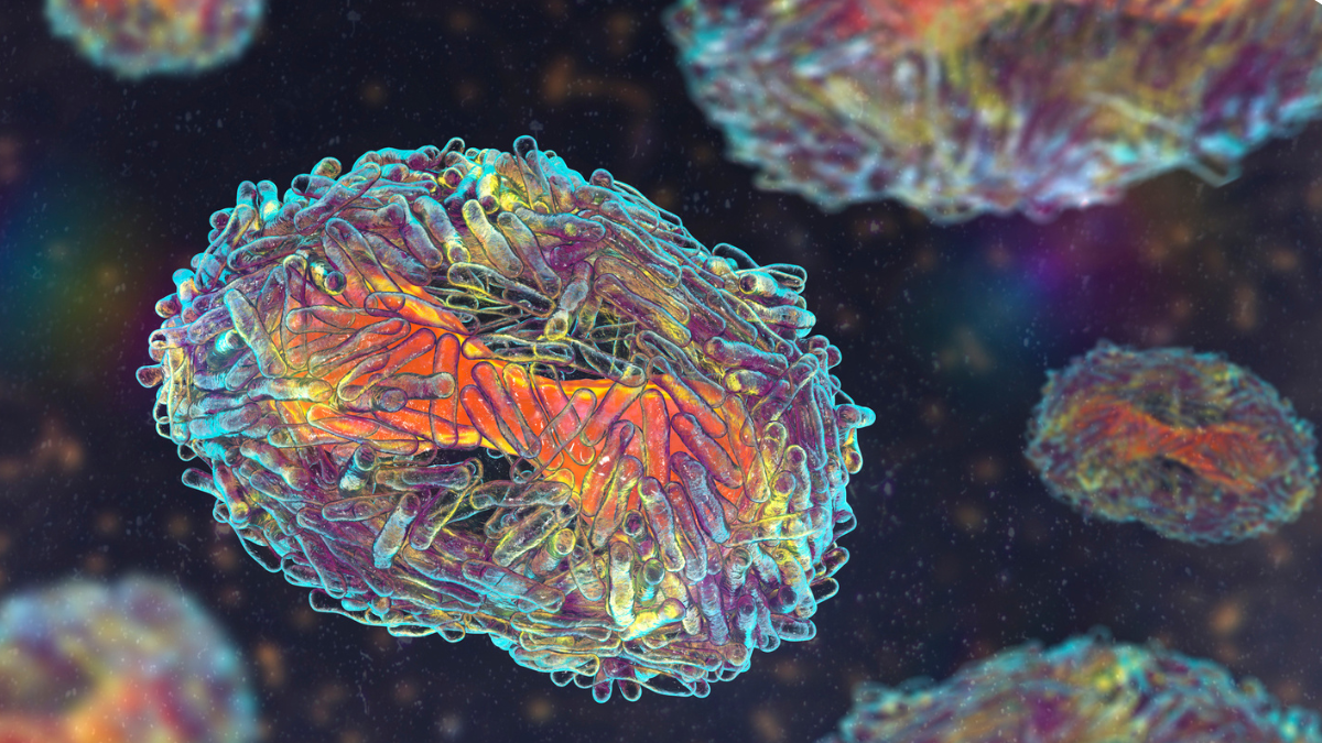 Viruela del Mono: Conoce las cifras de contagio y las comunas que las concentran