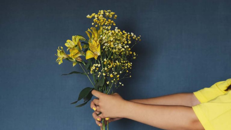 Por qué se regalan flores amarillas los 21 de septiembre? — FMDOS