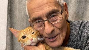 Sergio Chamy celebra las Fiestas Patrias con alegre publicación