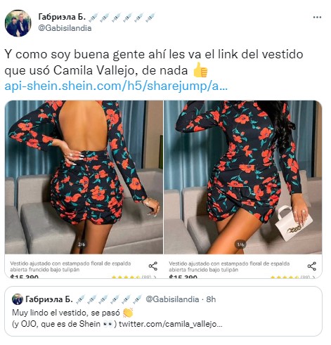 Vestido De Camila Vallejo