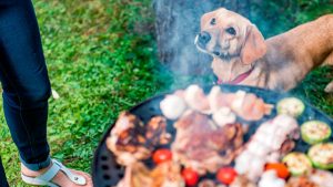 Fiestas Patrias: los alimentos que tus mascotas no deben comer