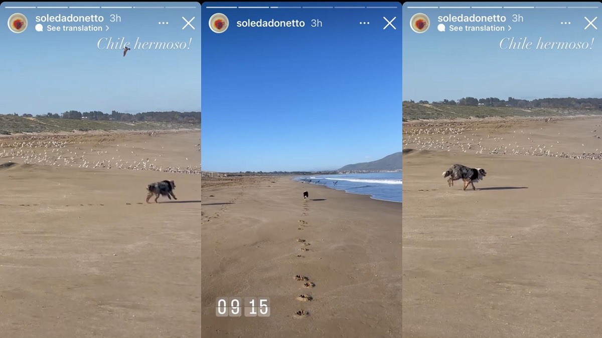 Historias de Soledad Onetto