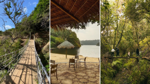 Parque Tricao, mucho más que un aviario