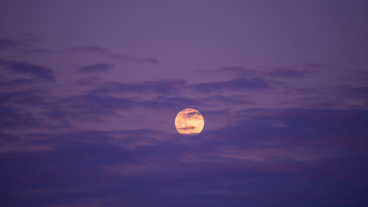 Créditos Getty Images (1)