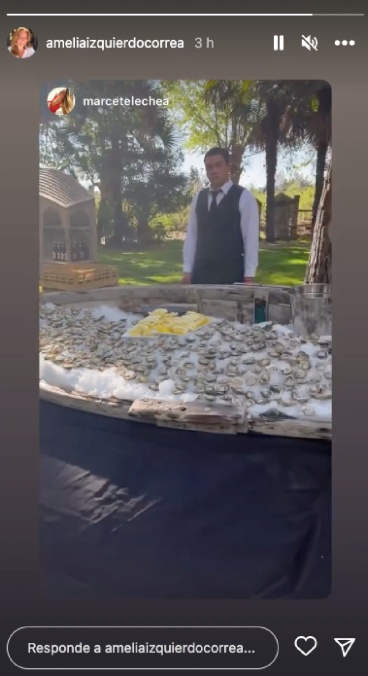 Créditos Instagram @ameliaizquierdocorrea