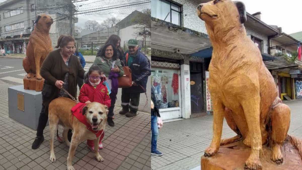 Nuestro Hachiko chileno: inauguraron una estatua en honor al perro Don Luis Apolo en Osorno