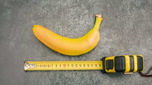 ¿Cuál es el tamaño promedio del miembro masculino en Chile?