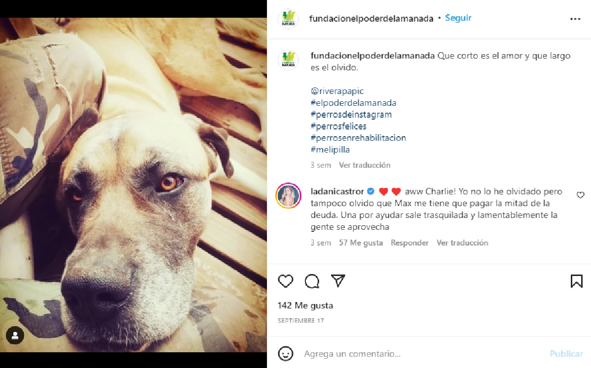 Comentario Daniela Castro