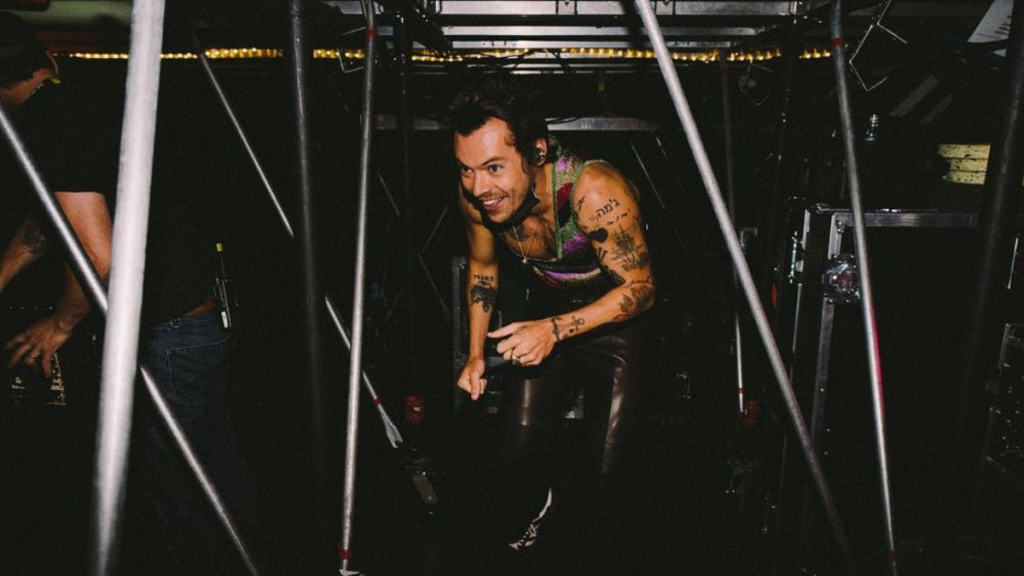 Harry Styles Fan Stage