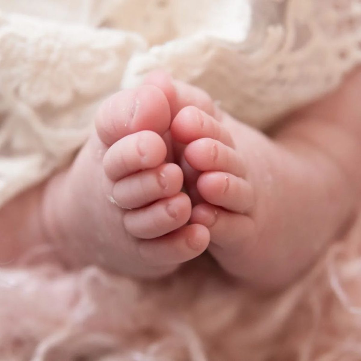 Icha Sobarzo Laurita