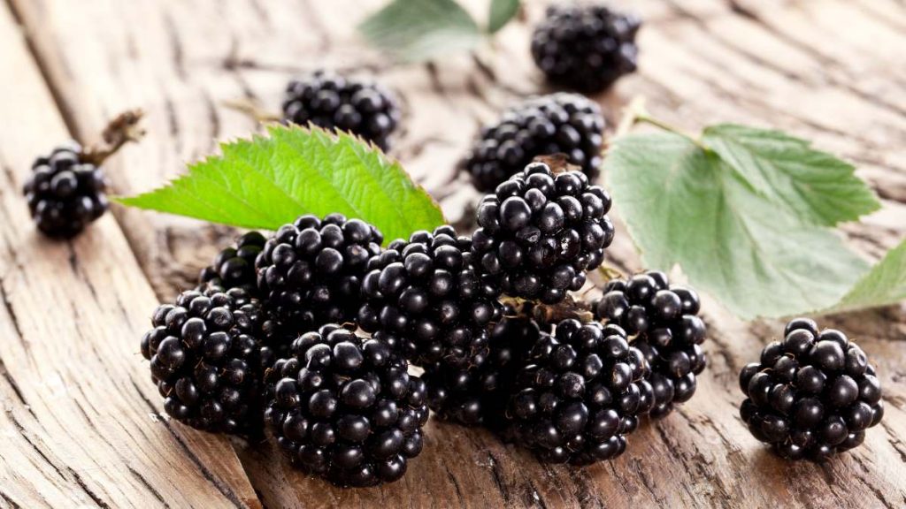 Moras