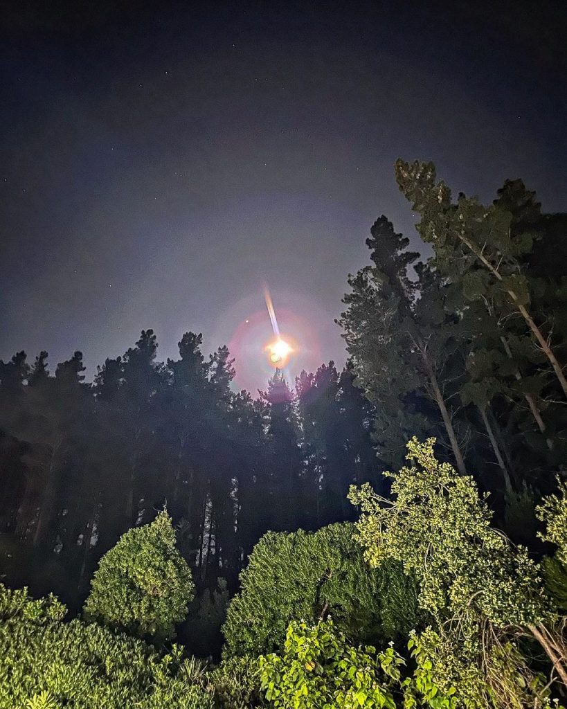 Publicación Cristián De La Fuente