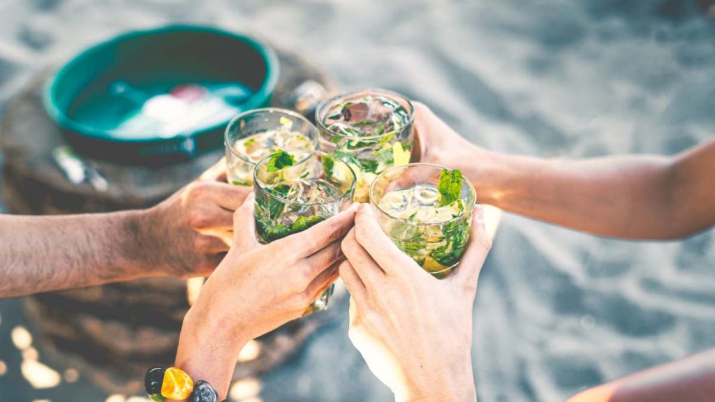 Mojito Sin Alcohol (1)