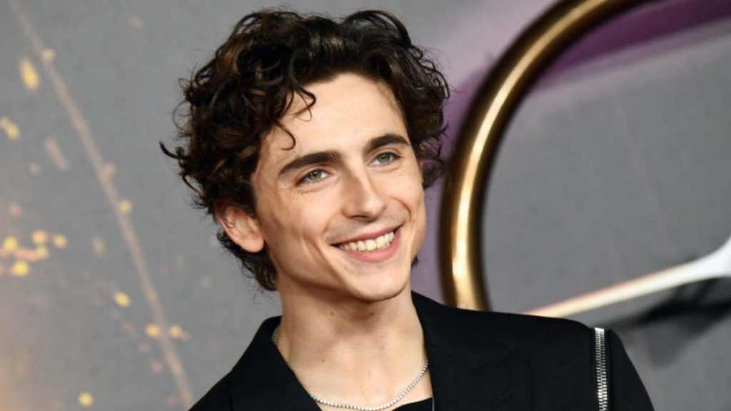 Timothée Chalamet (1)