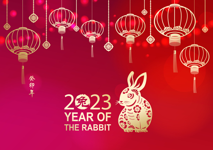 Celebration Chinese New Year With Rabbit