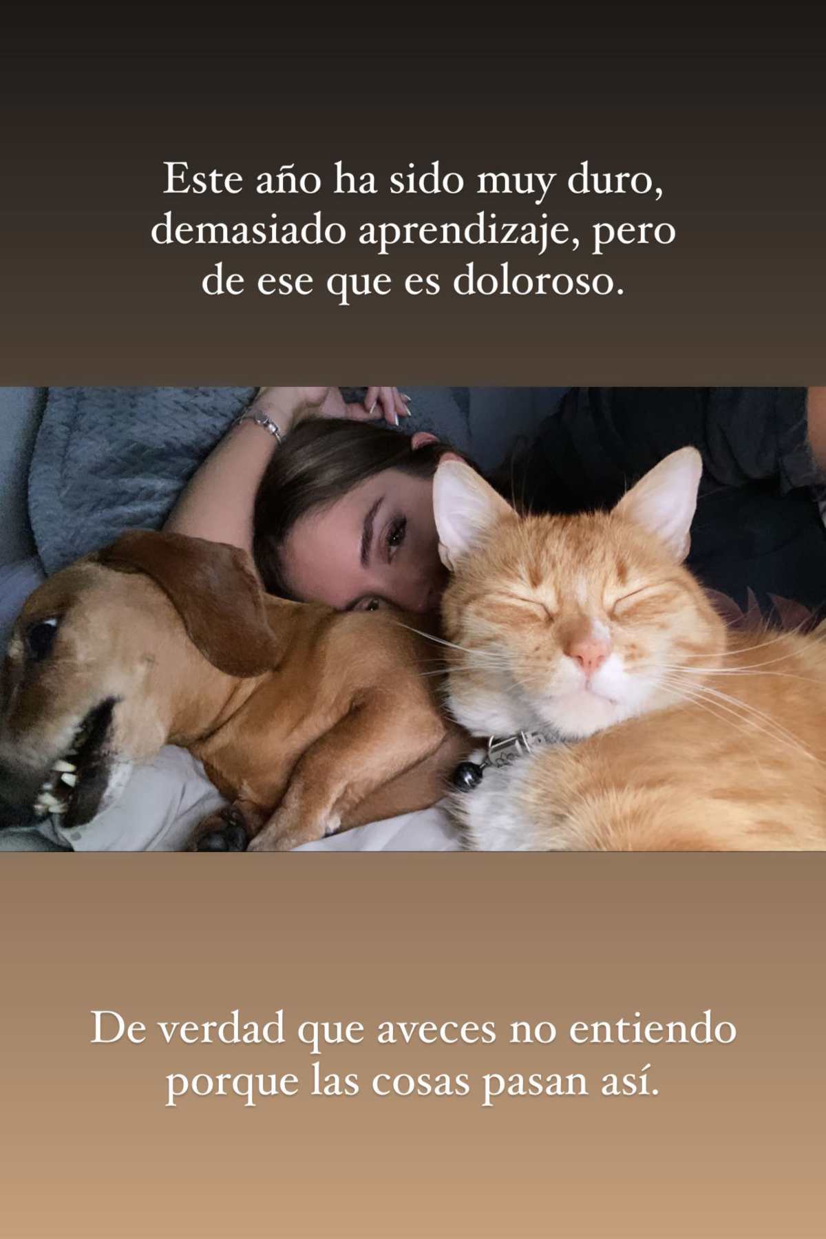 Coni Piccoli Mascota 