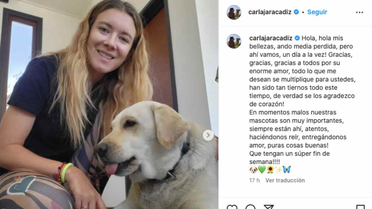 Créditos Instagram