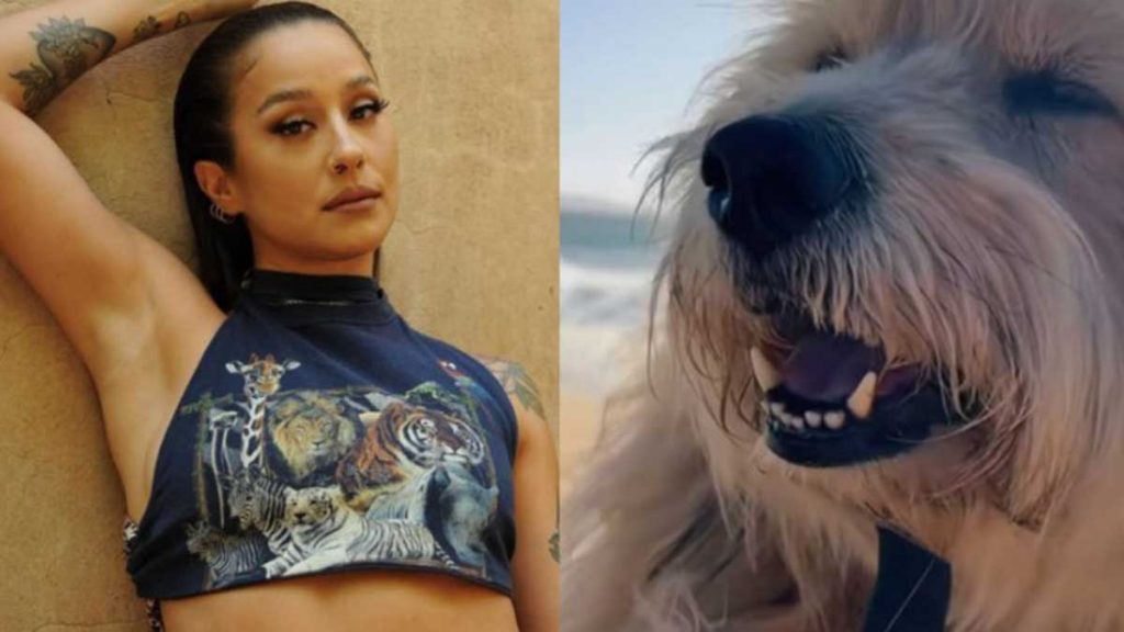 Denise Rosenthal Perro