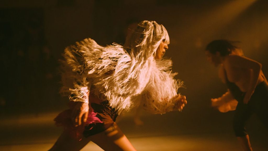 Festival La Cosecha Panorama GRATIS