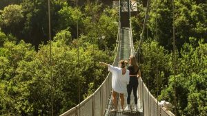 Rodéate de naturaleza con este imperdible panorama a minutos de Santiago