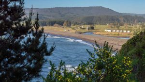 Rodeada de bosques y olas de seis metros: la playa del sur de Chile que debes visitar algún día