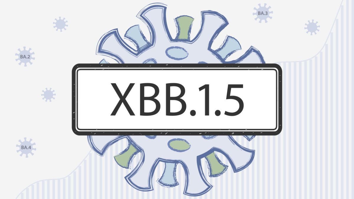 Variante Kraken Chile (1)