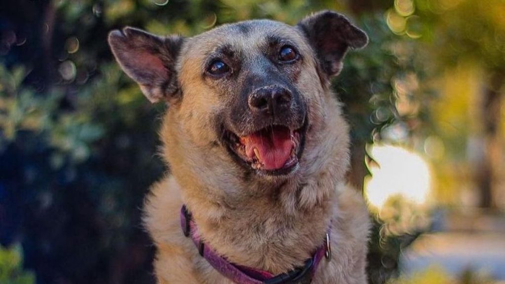 Festikids Fundacion Ayuda Callejeros