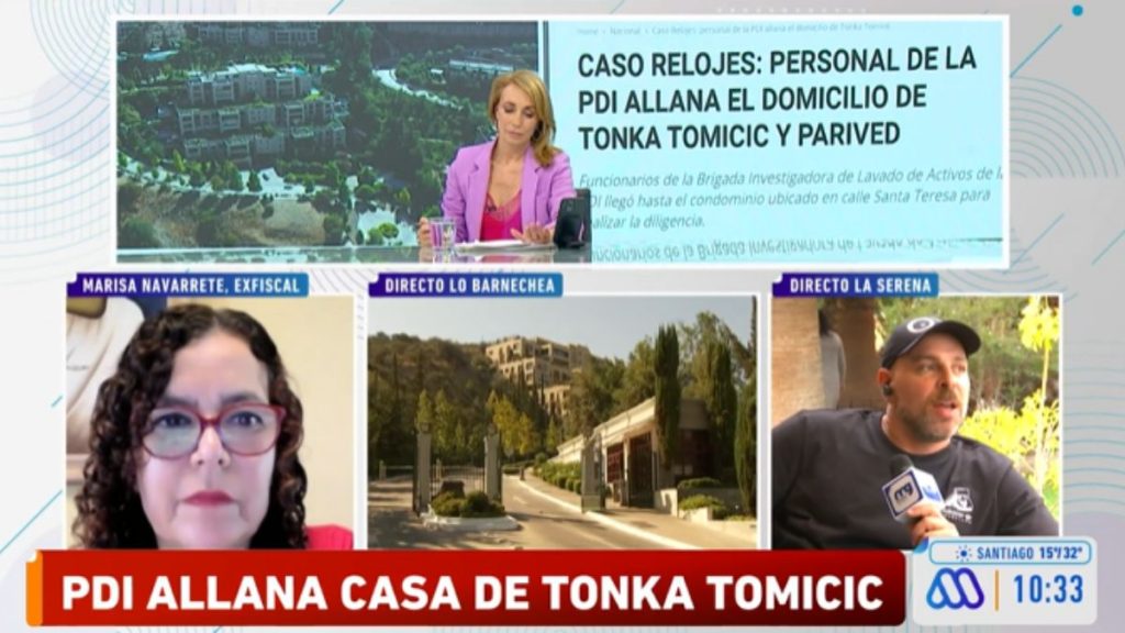 José Neme Tonka Tomicic