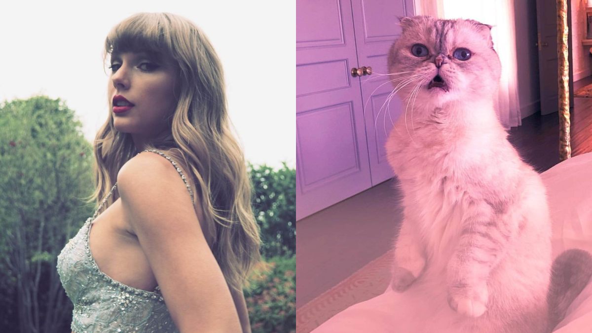 ¡Muy fancy! La gata de Taylor Swift es una de las 3 mascotas más millonarias