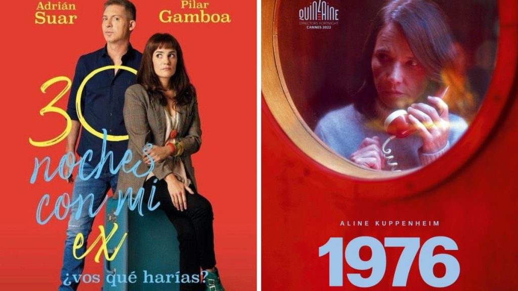 _FESTIVAL DE CINE BAJO EL CIELO DE ÑUÑOA (5)