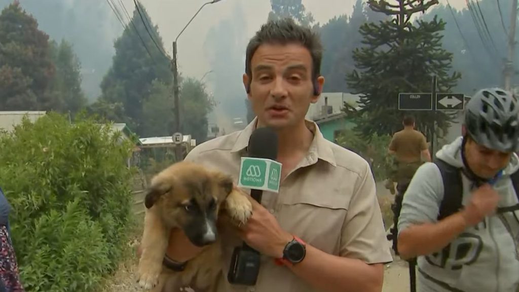 Gonzalo Ramírez Mega