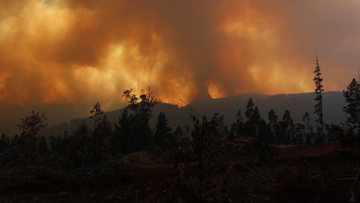 Incendios Forestales Chile (9)