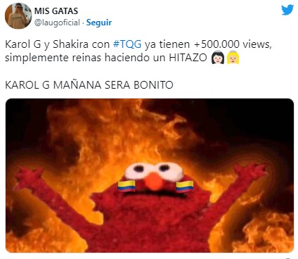 Karol G Shakira Memes 3