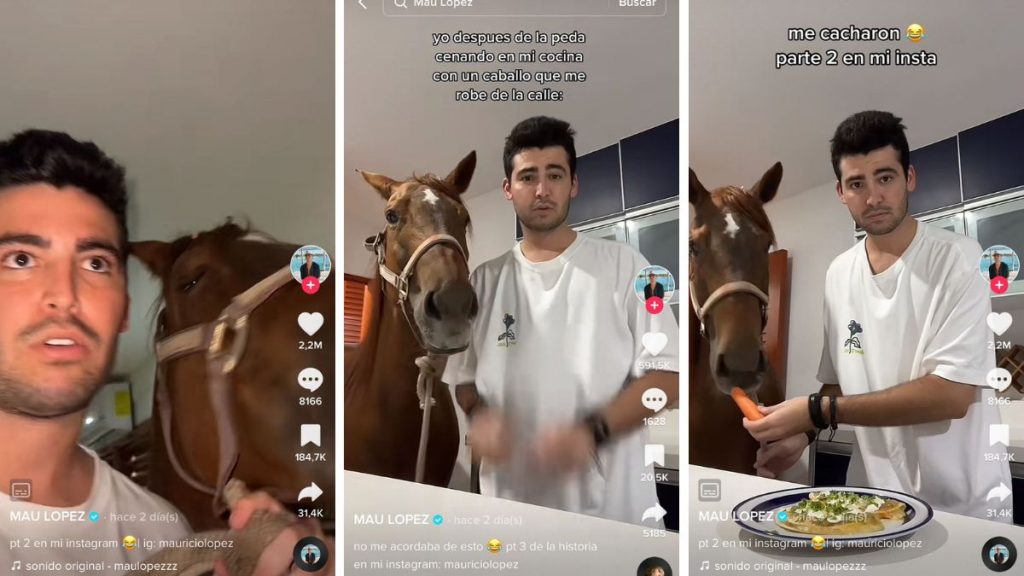 Me Lo Voy A Llevar” Tiktoker Se Lleva Un Caballo A Su Casa Después De Una Fiesta