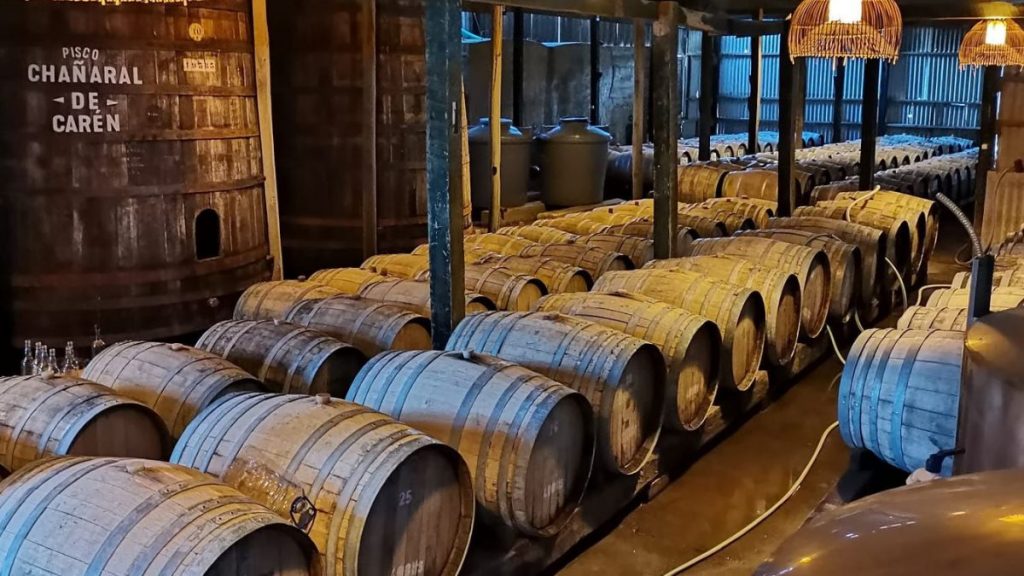 Pisco Chañaral De Carén